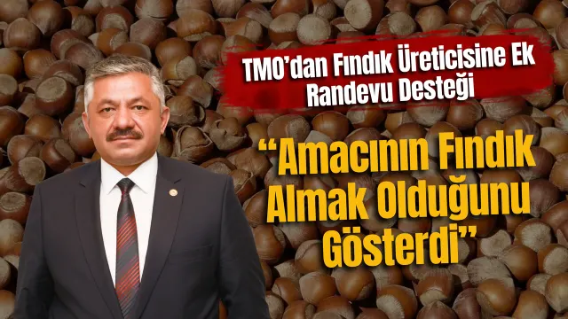 Yağışlar Nedeniyle Mağdur Olan Fındık Üreticilerine Tmo’dan Yeni İmkân