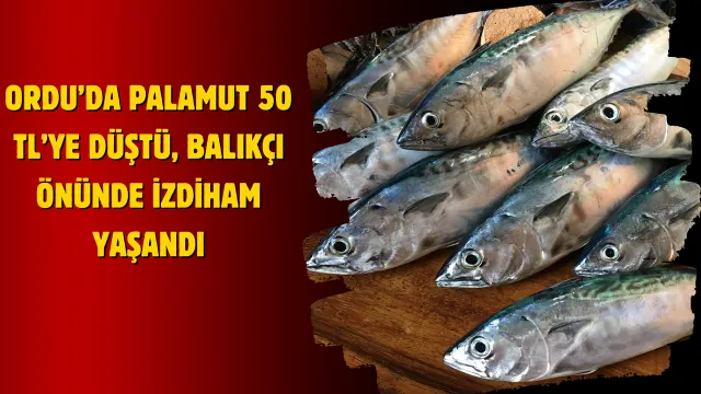 Palamutun Tane Fiyatı 50 Liraya Geriledi, Tezgâh Önünde Yoğunluk Oluştu