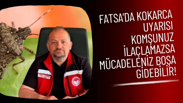 Fatsa’da Kahverengi Kokarca İçin Ortak Mücadele Çağrısı