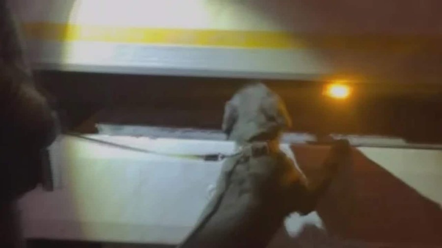 TIR Şoförü Polisin Üzerine Sürdü: Araçtan Çıkan Uyuşturucu İle Suçüstü Yakalandı