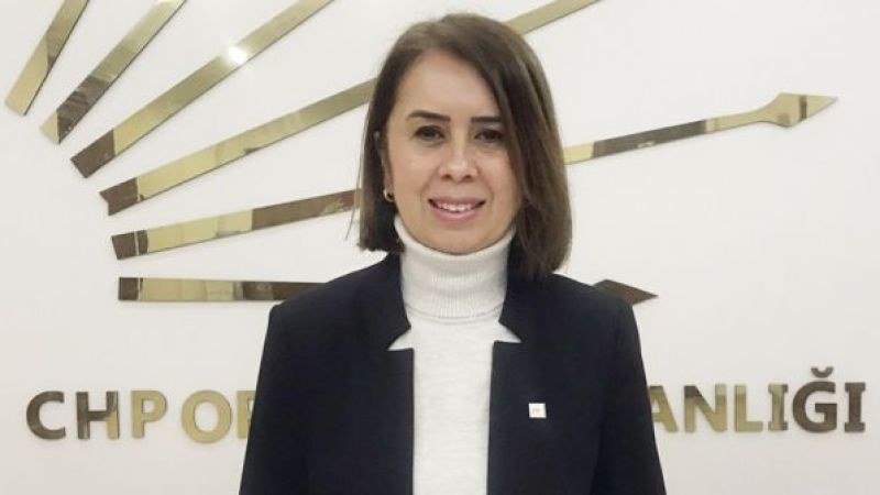 CHP Ordu Kadın Kolları Başkanı Nilgül Yılmaz: "Eşitlik ve Hukuk Mücadelesinden Vazgeçmeyeceğiz!"