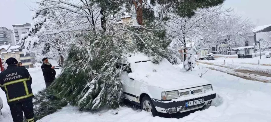 Ordu’da Kar 1,5 Metreyi Buldu! İtfaiye Ekipleri Teyakkuzda