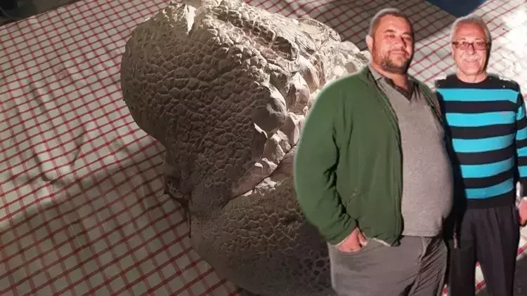 Almanya’dan Sivas’a Geldi, 9 Kiloluk Mantarla Şaşkına Döndü