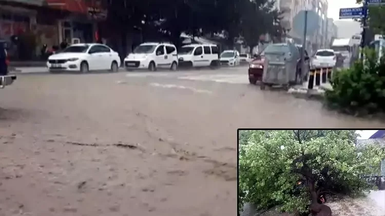 Kars Kağızman’da Sağanak Hayatı Olumsuz Etkiledi: Caddeler Göle Döndü, Ağaç Otomobilin Üzerine Devrildi