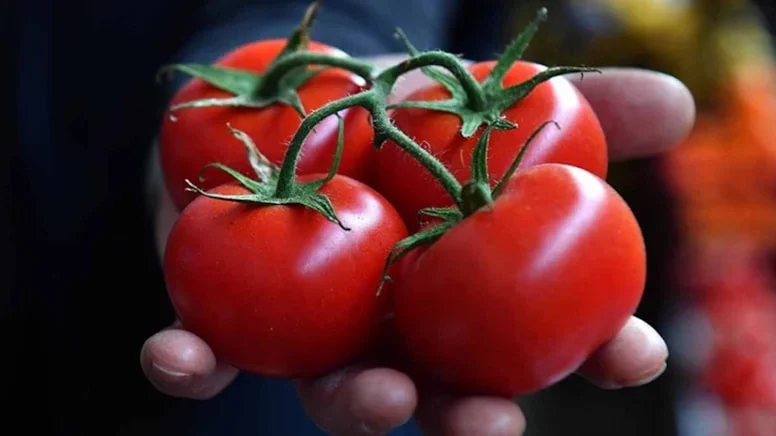 Bu Hastalıklara Sahipseniz Domates Tüketimini Gözden Geçirin