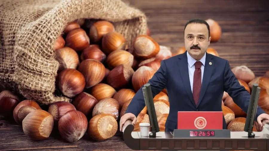 Fındık Fiyatlarına Naci Şanlıtürk’ten Tepki: Ticaret Bakanlığı Müfettişleri Sahaya İndi