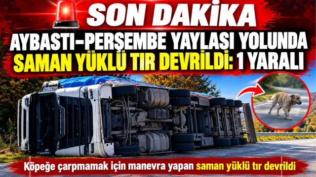 Perşembe Yaylası Yolunda Saman Yüklü Tır Devrildi: Sürücü Yaralandı