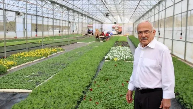 Ordu’da Belediyenin Seralarında 550 Bin Kışlık Çiçek Yetiştiriliyor