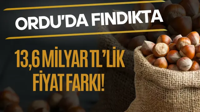 Ordu’da Fındıkta Serbest Piyasa İle Referans Fiyat Arasındaki Fark Büyüyor