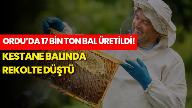 Ordu’da Bal Hasadı 17 Bin Tonla Tamamlandı, Kestane Balı Geriledi