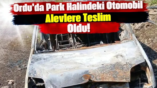 Çatalpınar’da Park Halindeki Otomobil Yangında Kullanılamaz Hale Geldi