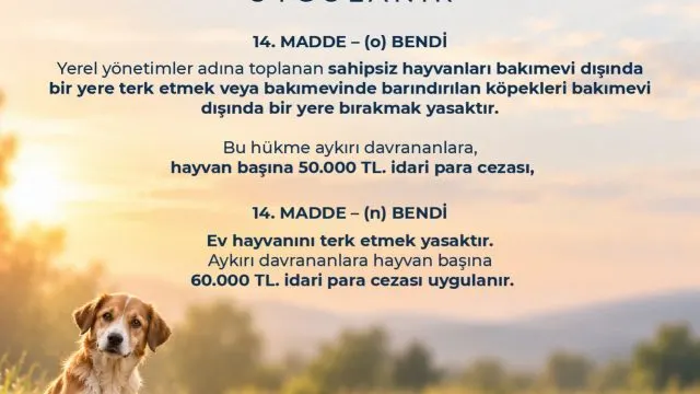 Altınordu Belediyesi’nden sahipsiz hayvanların izinsiz bırakılmasına yasal uyarı Altınordu Belediyesi’nden sahipsiz hayvanların izinsiz bırakılmasına yasal uyarı