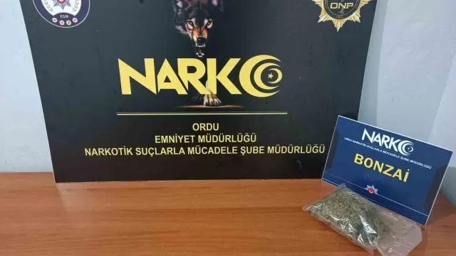 Fatsa’da Otomobilde Uyuşturucu Ele Geçirildi: 1 Tutuklama