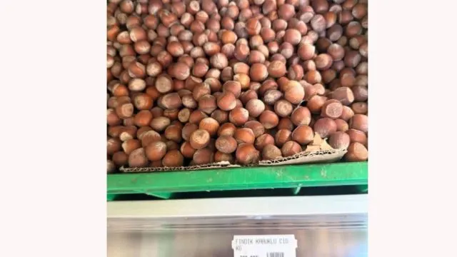 Kktc’de Kabuklu Çiğ Fındığın Kilogramı 789,90 Tl’ye Çıktı
