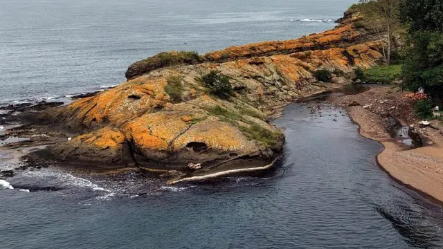 Ordu'da Timsah Adası Yaz Sezonunda İ̇lgi Görüyor