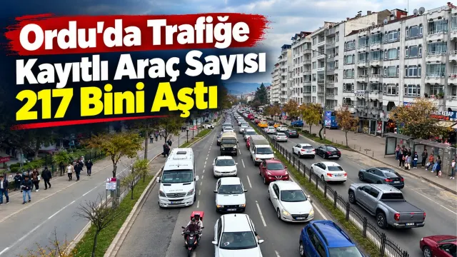 Ordu’daki Araç Varlığı Eylülde 217 Bin 28’e Ulaştı