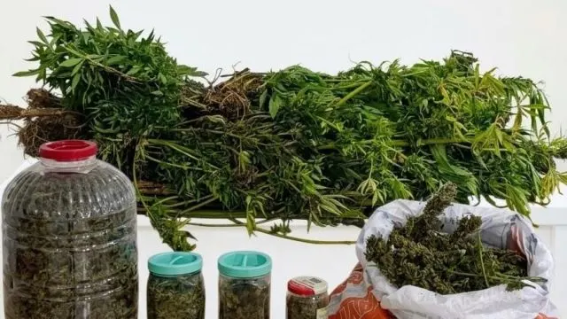 Akkuş’taki Uyuşturucu Operasyonunda Bir Şüpheli Cezaevine Gönderildi