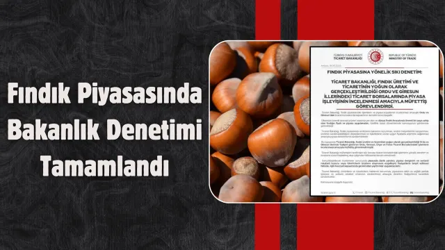 Ordu Ve Giresun’daki Fındık Piyasası İncelemesi Sona Erdi