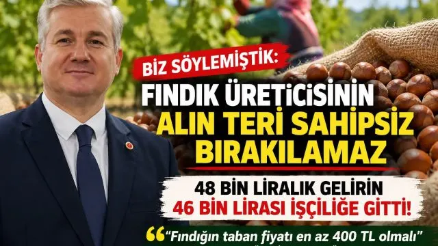 Ünye’de Fındık Üreticisi İçin 400 Lira Taban Fiyat Talebi
