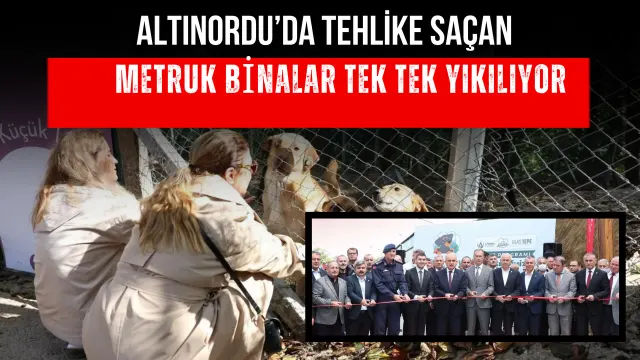 Altınordu’da Sokak Hayvanları İçin Yeni Yaşam Alanı Hizmete Girdi