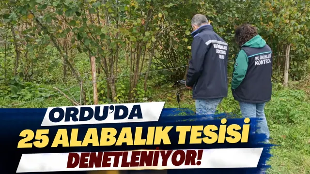 Ordu’da Alabalık Tesislerine Mevzuat Denetimi: Gürgentepe’de Yeni Adımlar