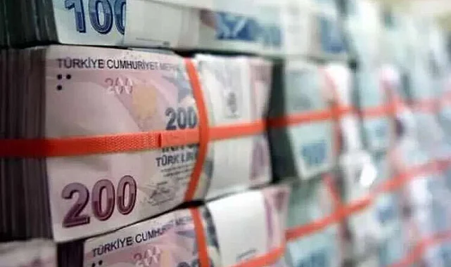 Türk Lirası Mevduatında Büyük Artış! İşte Son Rakamlar