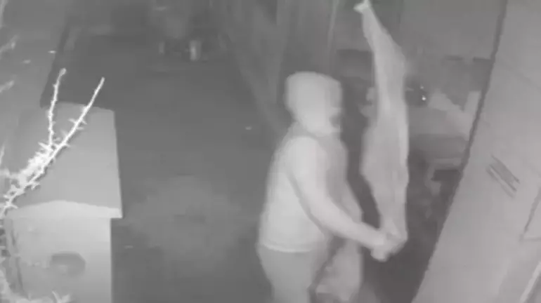 Türk Bayrağını Kopardı, Kameralara Yakalandı! Şüpheli Kısa Sürede Gözaltına Alındı
