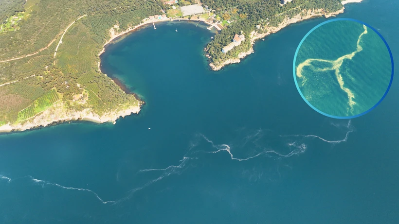Marmara Denizi’nde Müsilaj Alarmı: Sessiz Tehlike Yeniden Yüzeye Çıktı