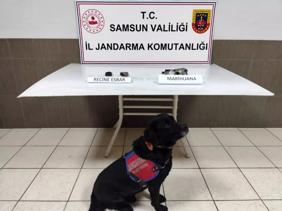 Samsun’da Uyuşturucu Operasyonu: Havayoluyla Gelen Şüpheli Yakalandı