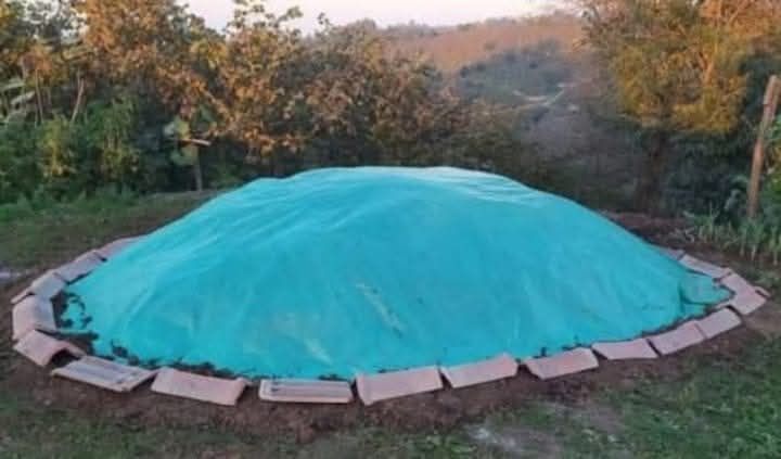 Ziraat Mühendisi Haluk Şensoy’dan Fındık Üreticilerine Doğal Gübre Tarifi
