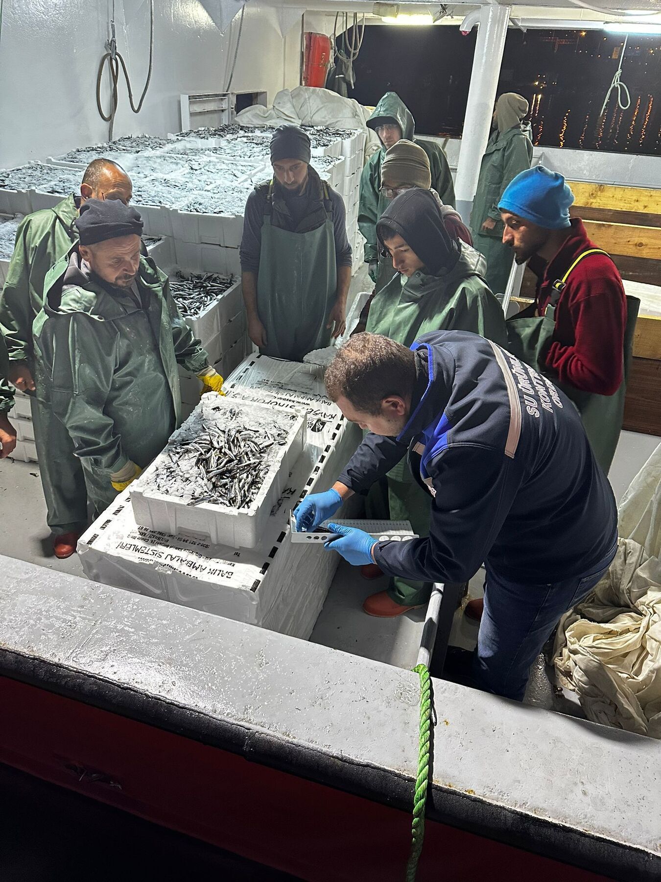 Ordu’da 174 Ton Hamsi İçin Nakil İzni Verildi