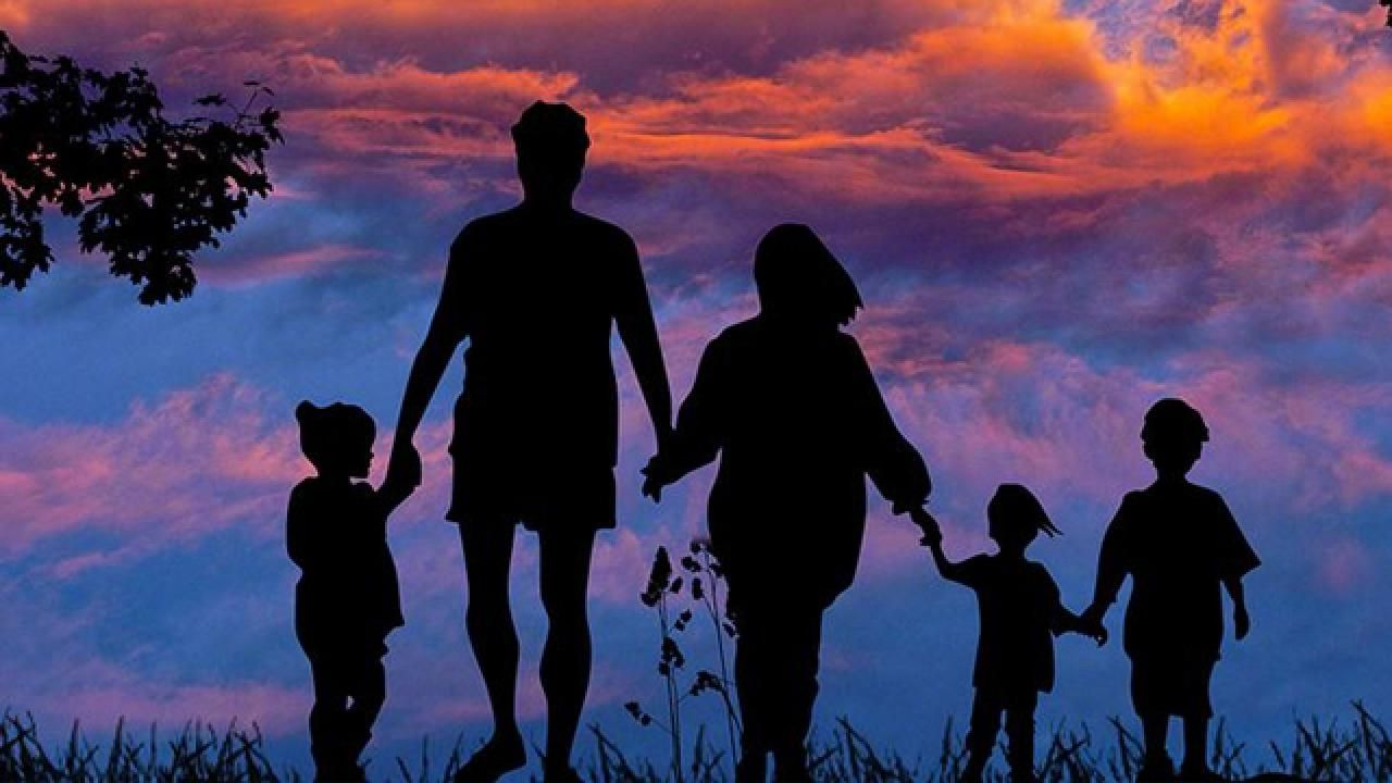 Ordu’da Ortalama Hanehalkı Büyüklüğü 2,68’e Geriledi