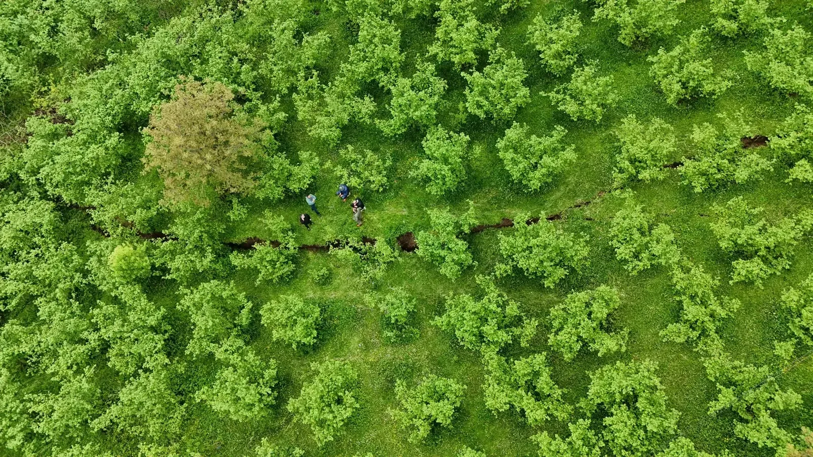 Aybastı’da Şiddetli Yağış Heyelana Yol Açtı Bölge Gözetim Altında