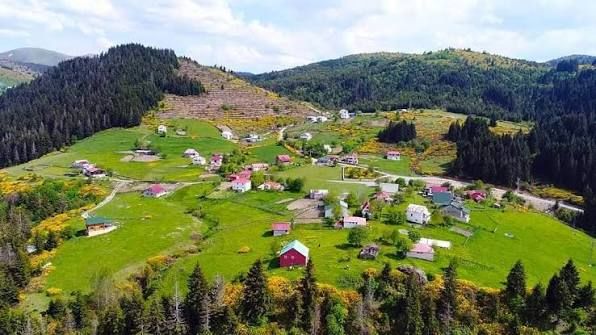 Ordu’da Maden Sondajı Gerginliği Yeniden Yaşandı! 2 Kişi Gözaltına Alındı